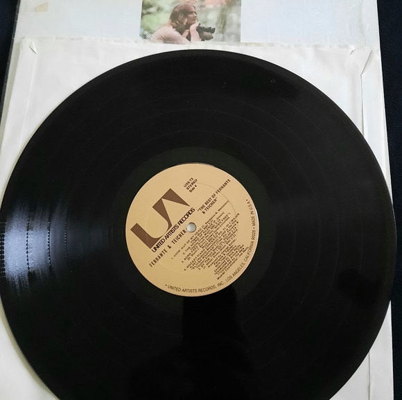 The Best Of Ferrante & Teicher Vinyl LP, 1971 - Picture 9 of 13